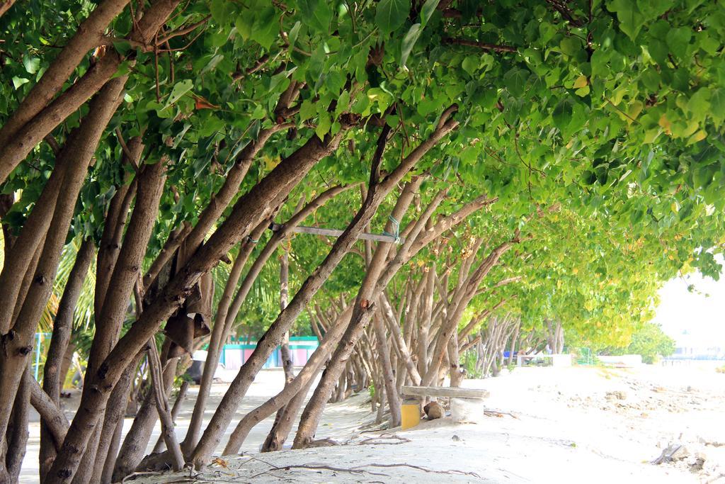 Rip Tide Vacation Inn, K.Guraidhoo Guraidhoo  Exteriör bild