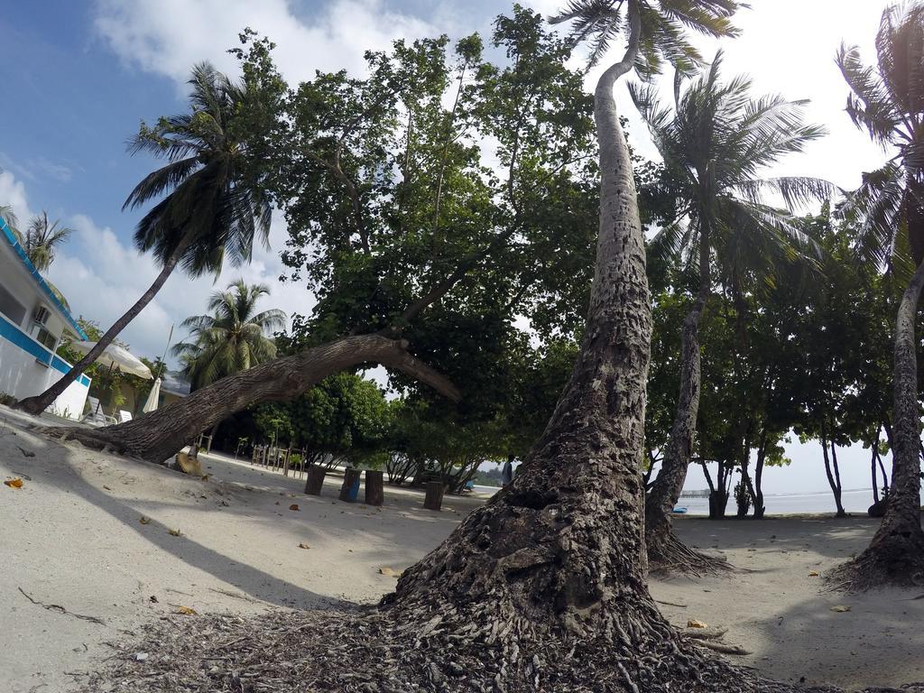 Rip Tide Vacation Inn, K.Guraidhoo Guraidhoo  Exteriör bild
