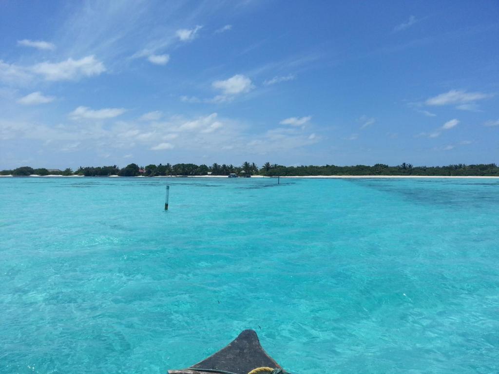 Rip Tide Vacation Inn, K.Guraidhoo Guraidhoo  Exteriör bild