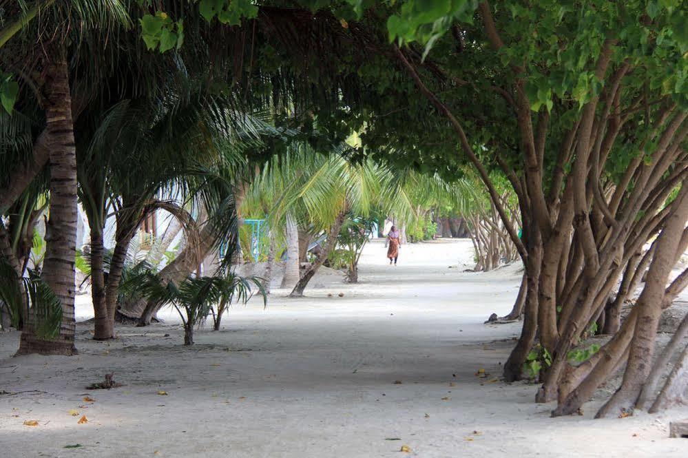 Rip Tide Vacation Inn, K.Guraidhoo Guraidhoo  Exteriör bild