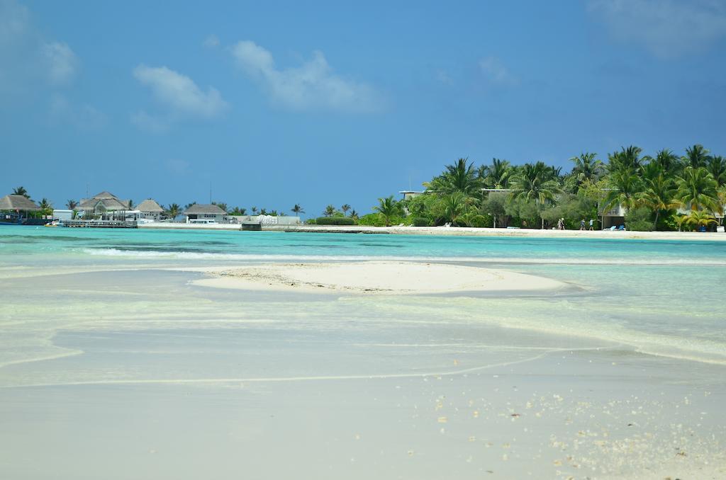 Rip Tide Vacation Inn, K.Guraidhoo Guraidhoo  Exteriör bild